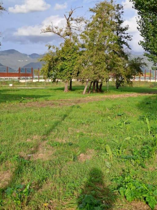 Appartamento Rossana - Luni Marinella di Sarzana Εξωτερικό φωτογραφία